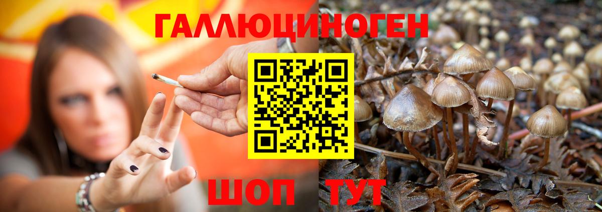 Борисоглебск  Галлюциногенные грибы ЛСД  Вход с VPN 